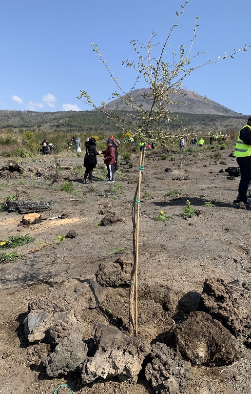 Educhiamo i nostri ragazzi alla cura dell'ambiente